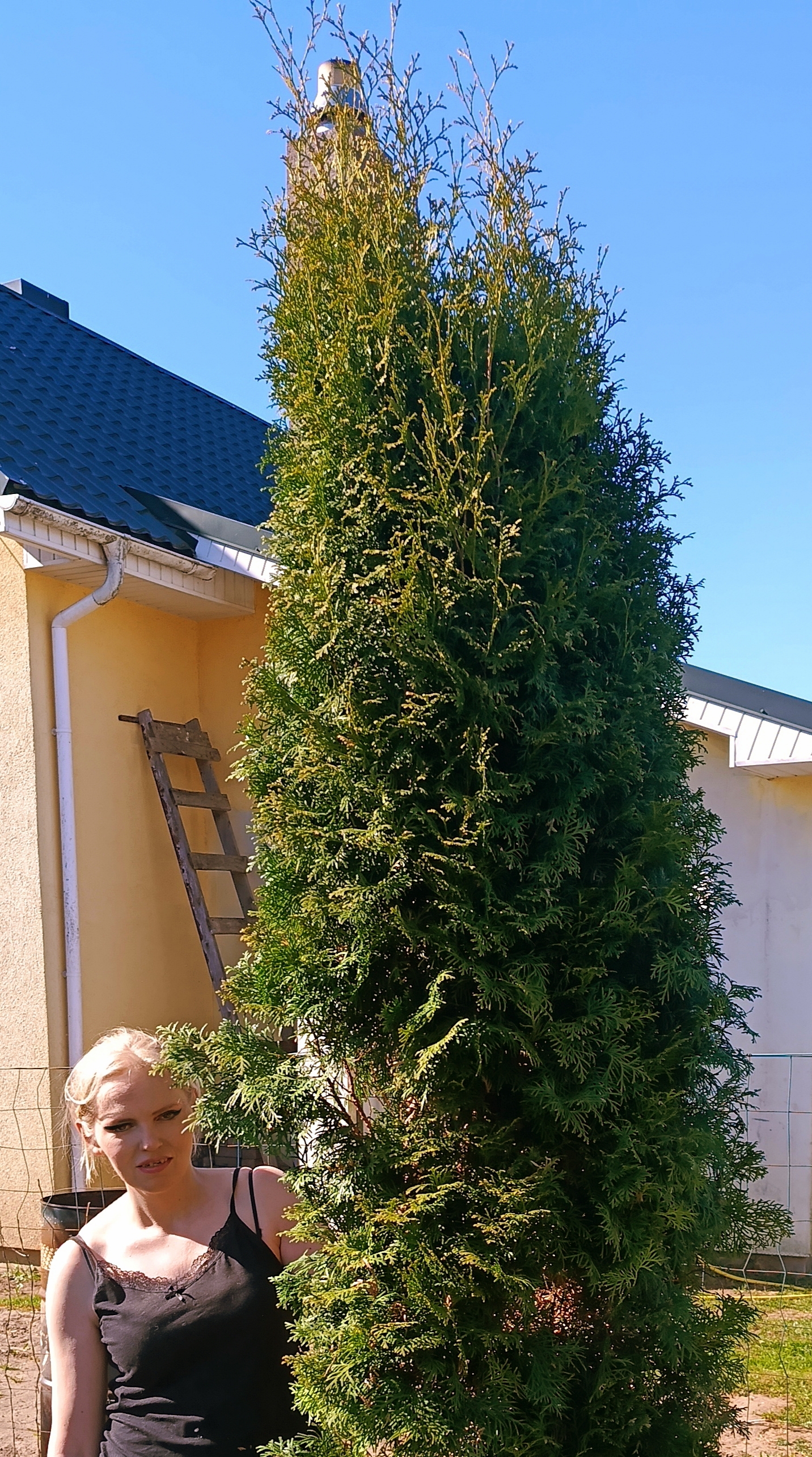 Darbo rezultatas ir asmeninis dėmesys kiekvienam augalui: profesionali aplinkos priežiūra nuo idėjos iki gyvo įgyvendinimo.